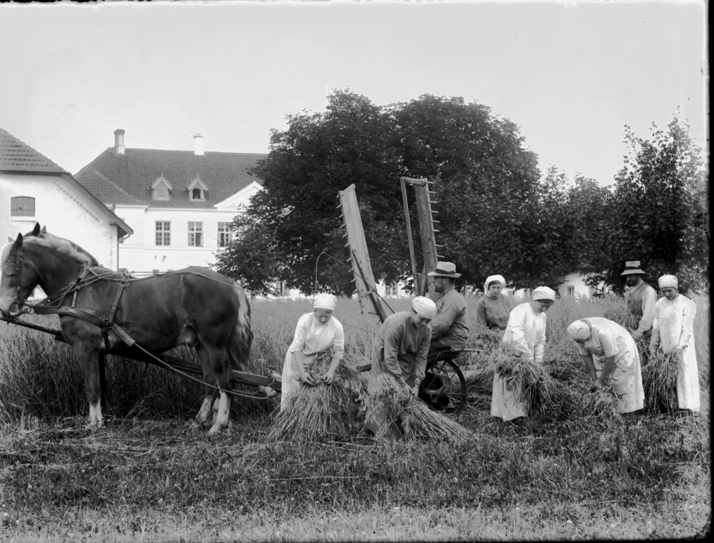Gymnastik 1915 på Vejstrup Pigehjem. (Gudme Lokalhistoriske Arkiv)